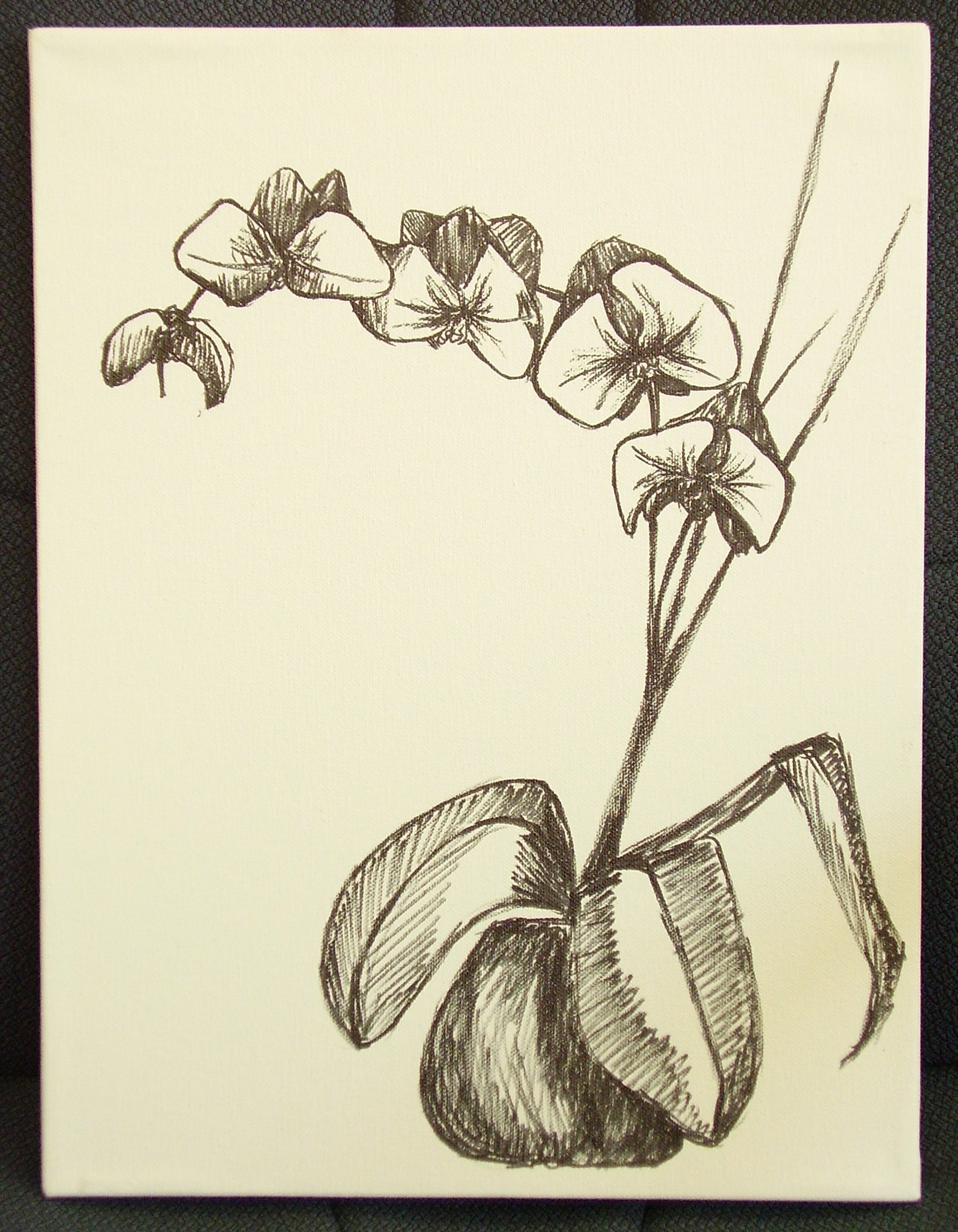 markerorchid.JPG